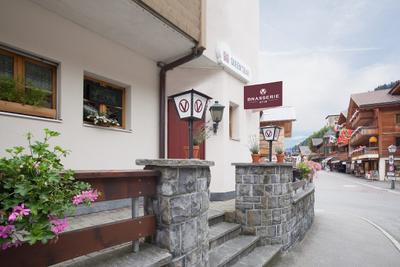 Hotel Viktoria Eden