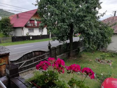 Janka