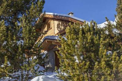 Chalet Nest