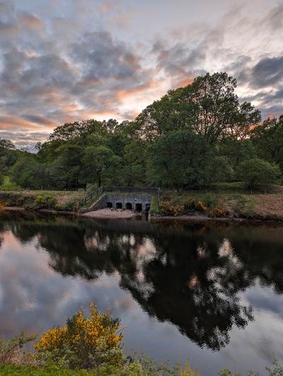 Acorn Cottage