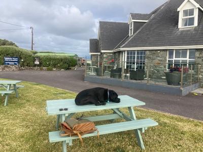Harbour House B&B