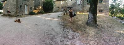 il Gabbiano