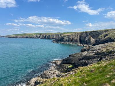 Cardigan Island Coastal Farm Park