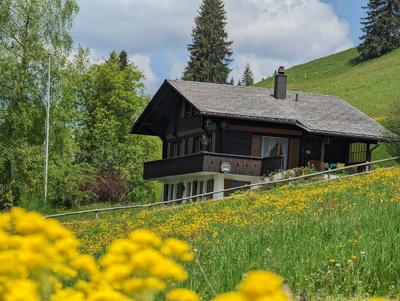 Ferienhaus Chalet Datscha