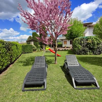 Villa Gaia Truffle Experience