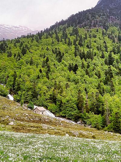 Caseta/Refugi emergència Barranc der Espitau