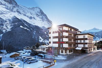 Hotel Spinne
