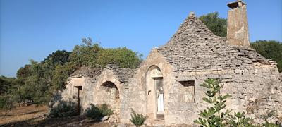 Il nido del Gheppio
