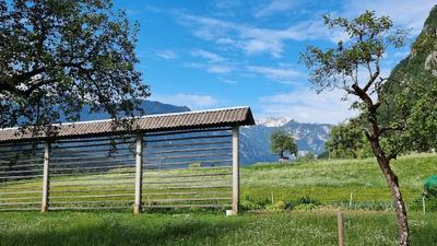 Rustic House 13