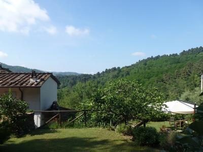 Organic Farm Nico