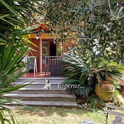 La Foglia Verde