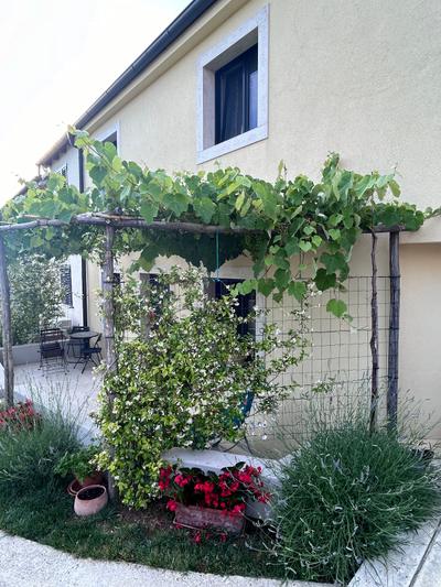 Hisa Sterna - Well house