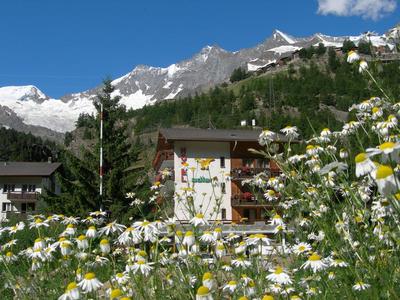 Hotel Adler AG