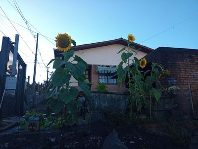 MINHA CASA