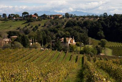 Agriturismo "Borgo del Gelso"