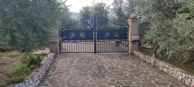 Gli Ulivi D'Argento