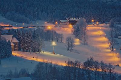 Hotel Zieleniec
