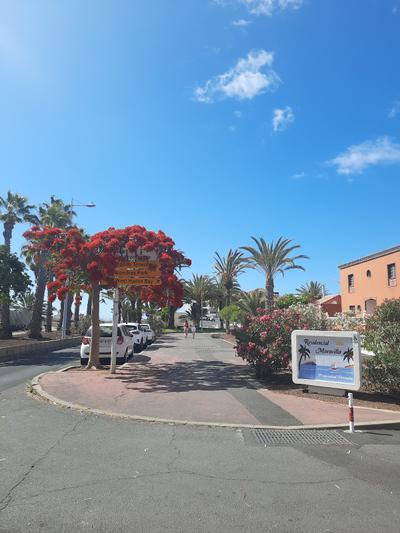 Tenerife