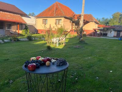 Casa Izvorul Rece Hobita