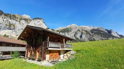 Waldhotel Doldenhorn