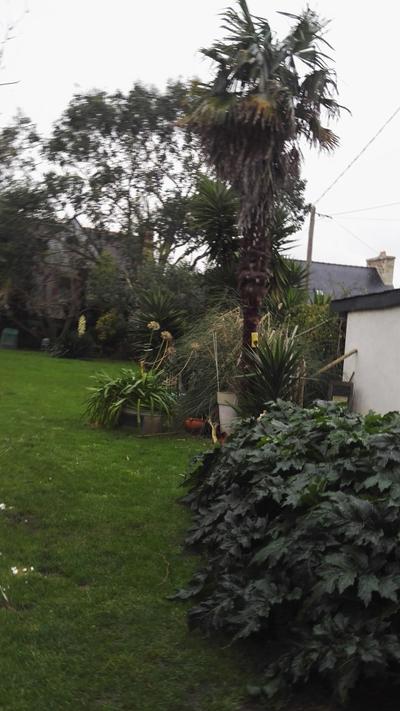 Studio Perros-Guirec