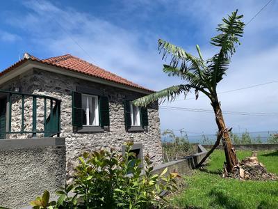 Amélia's House