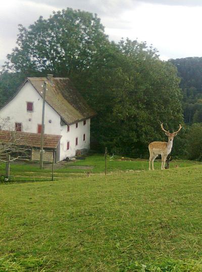 Burghütte