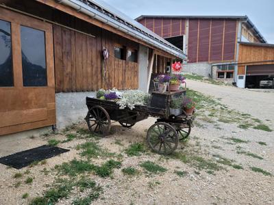 Bison Ranch