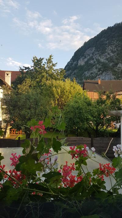 Vila Mojstrovka