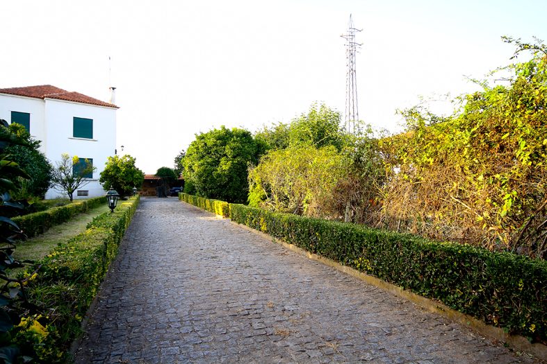 Casa da Miza