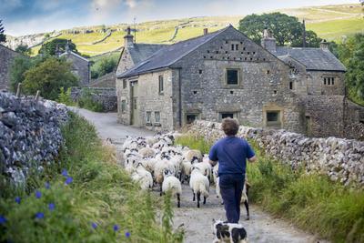 Hill Top Farm Bunkbarn