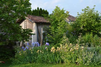 B&B Giardini dell'Ardo