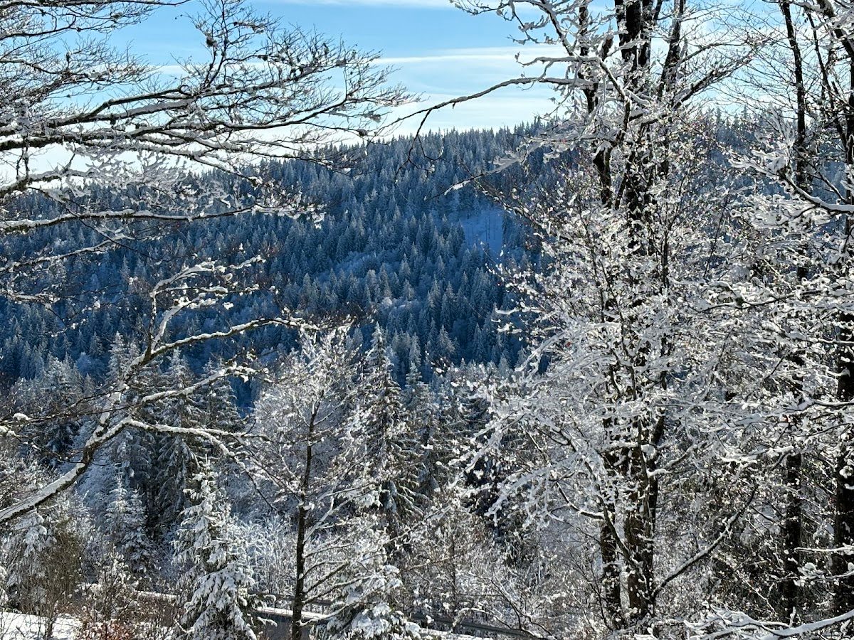 Wohnmobilstellplatz Feldberg, am Restaurant