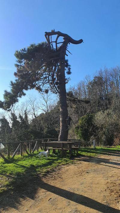 Tra mare e monti