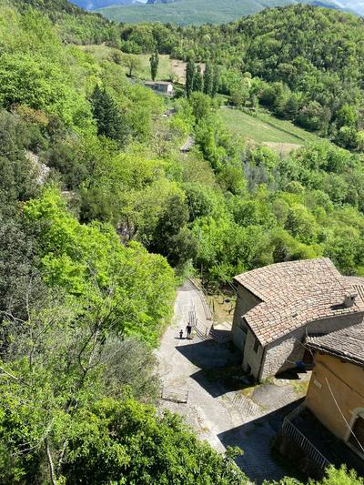 B&B Beep Beep, Tranquillo, half km from via di francesco (Pontuglia), free pick up at Ceselli