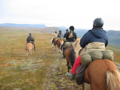 Fjällhästen AB
