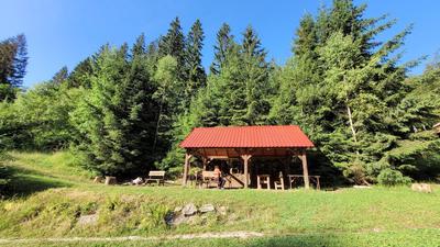 Visalajka