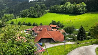 Prinzbachhof