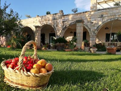Masseria Asciano