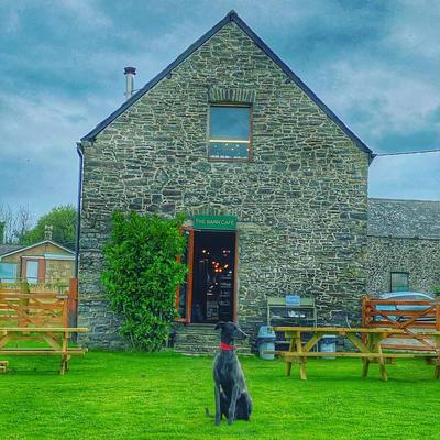Exmoor Coast Holidays at Caffyns Farm