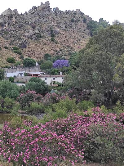 La Fuente Vieja Holiday Villa Rentals