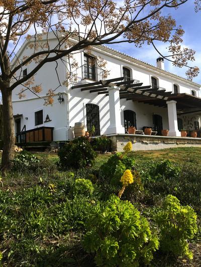 La Sorpresa