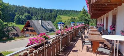 Hotel Zur Traube