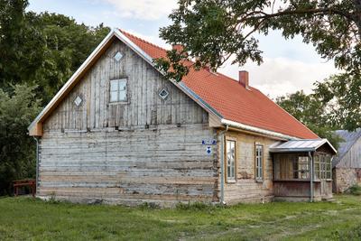 Ērģelnieki