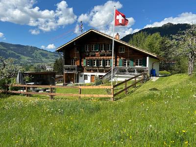 Alpenchalet Haldeli