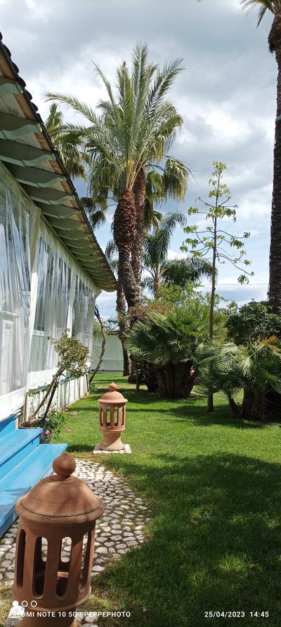 Albergo Mediterraneo S.N.C.