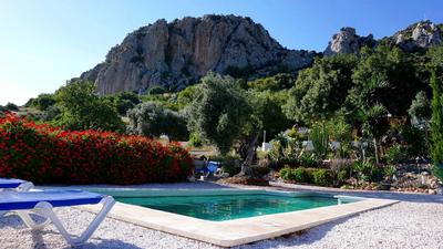 The Olive Branch El Chorro