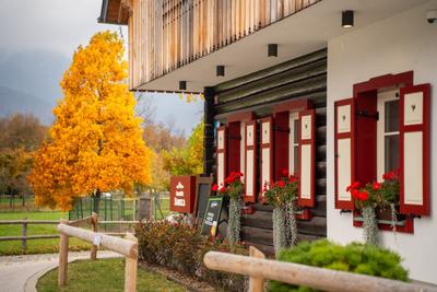 Danica Guesthouse