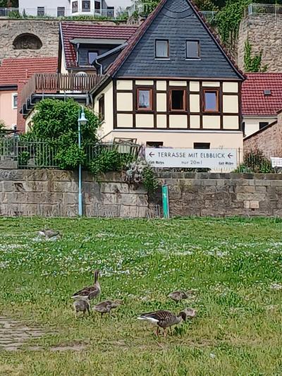 Villa Sophie