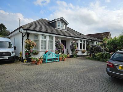 B&B Angel Cottage
